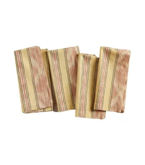 Parker Stripe Ikat Cotton Napkins - Set of 4