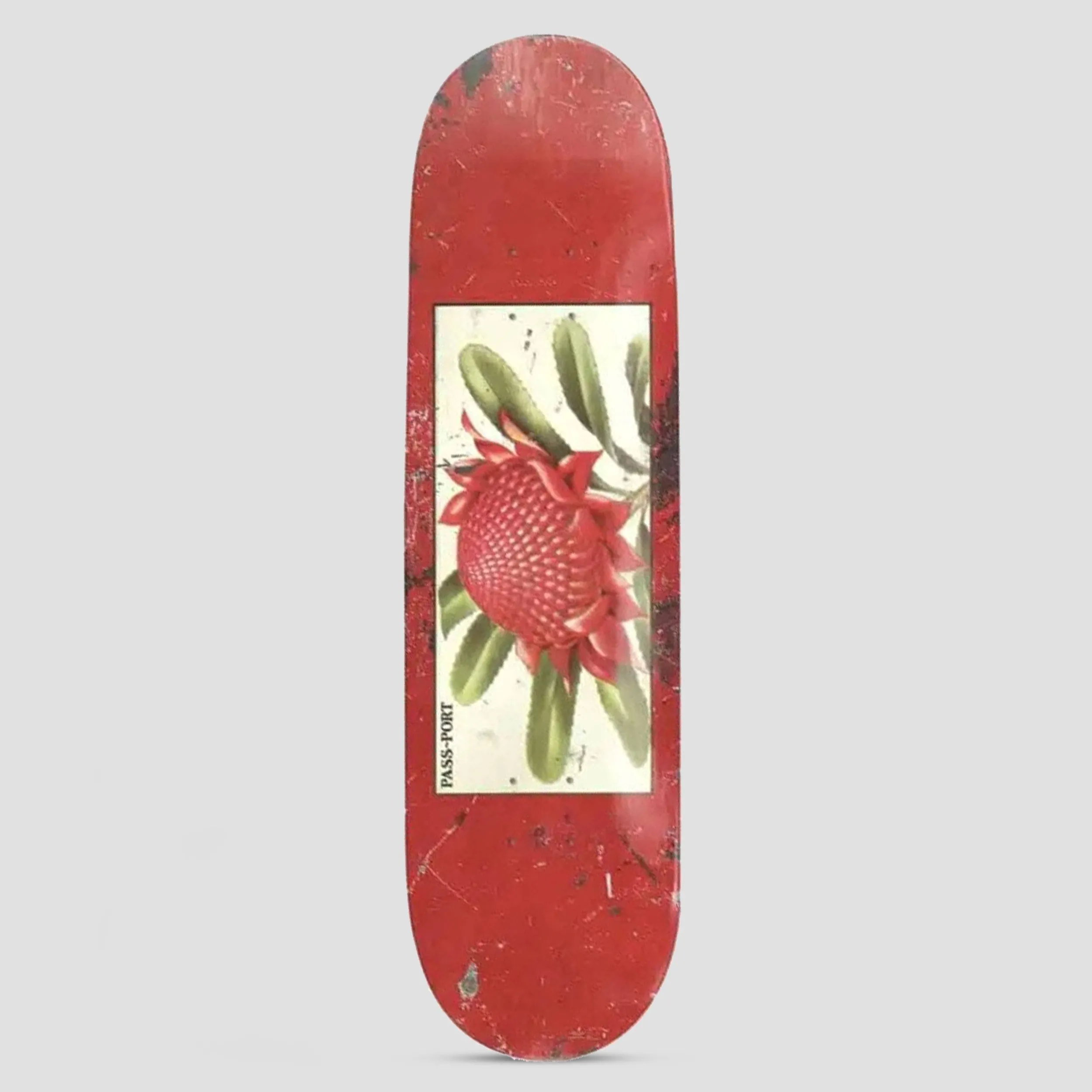 Passport 7.875 Tin Floral Series Waratah Skateboard Deck