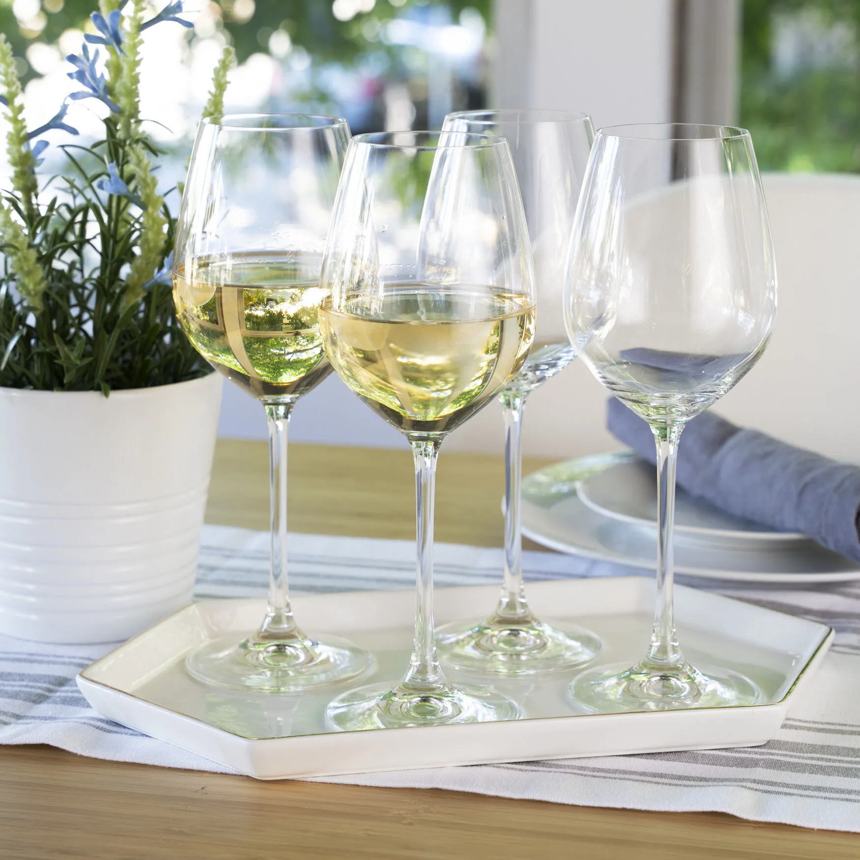 Salute 16.4 Oz White Wine Glass (Set Of 4)