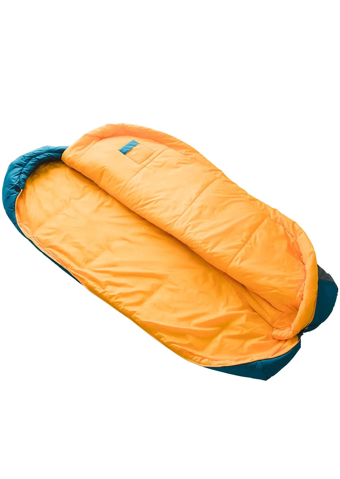 The North Face Wasatch Pro 20 Sleeping Bag